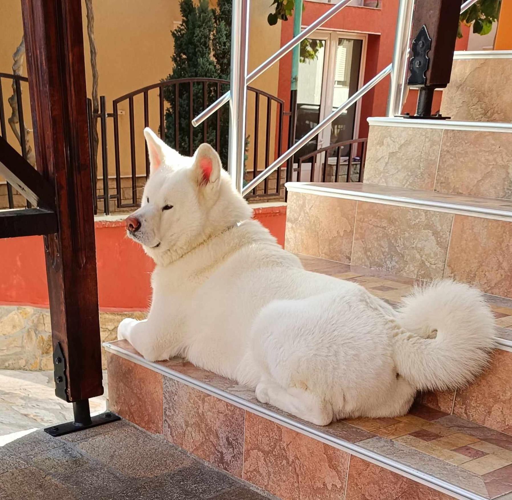 Виктория Созопол Exterior foto